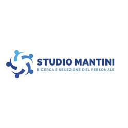 STUDIO MANTINI DI MANTINI FABIO e C. S.A.S., Forlì orari di apertura