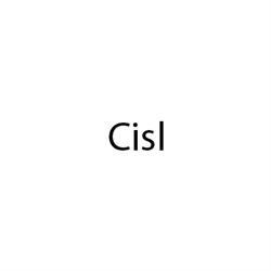 Cisl Formigine, orari di apertura
