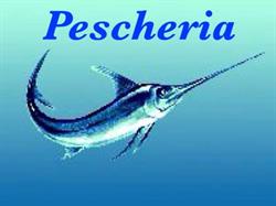 Pescheria la Perla del Tirreno, Tonnarella orari di apertura