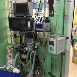 Ambulatorio veterinario dr Filippo Gamberucci, Pomarance orari di apertura