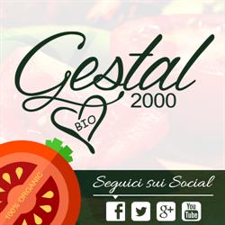 Gestal 2000 S.r.l, Pontinia orari di apertura