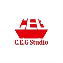 C.E.G. STUDIO Arch. Tedoldi business e management, Poviglio orari di apertura