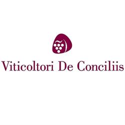 Viticoltori de Conciliis S.s., Prignano Cilento orari di apertura