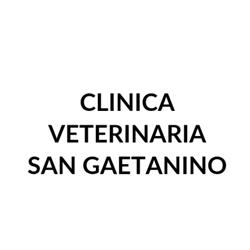 Clinica Veterinaria San Gaetanino, Ravenna orari di apertura