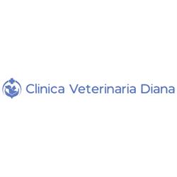Clinica Veterinaria Diana, Reana del Rojale orari di apertura