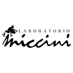 Laboratorio Miccini Di Federico Ed Elisa Miccini, Recanati orari di apertura