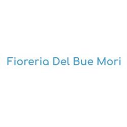 Fioreria del Bue Mori, Reggio Emilia orari di apertura