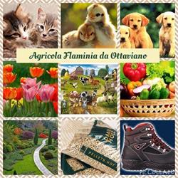 Agricola Flaminia, Rignano Flaminio orari di apertura