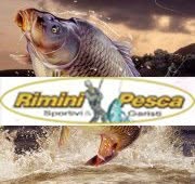Rimini Pesca Di Moretti Fabio & C. S.a.s, orari di apertura