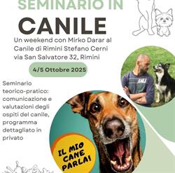 Canile Comunale Stefano Cerni, Rimini orari di apertura
