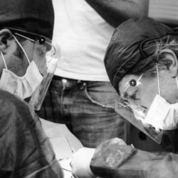 Marini Studio Dentistico Associato, Roma orari di apertura