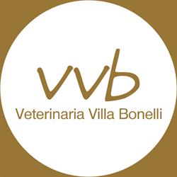Associazione Professionale Veterinaria Villa Bonelli dei Dottori Andrea Curci, Fabio Sita, Luca Tonn, Roma orari di apertura