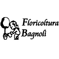 Floricoltura Bagnoli, Barbasso orari di apertura