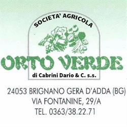 Societa' Agricola Orto Verde di Cabrini Dario & C. S.s, Brignano Gera d'Adda orari di apertura