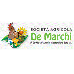 Societa' Agricola De Marchi, Merlara orari di apertura