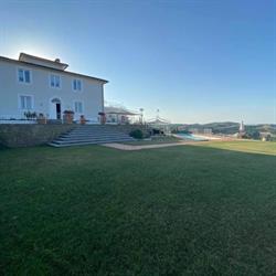 Belsole S.r.l, Certaldo orari di apertura
