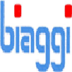 Biaggi, Borgomanero orari di apertura