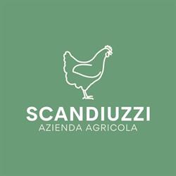 Scandiuzzi Azienda Agricola - Punto Vendita, Breda di Piave orari di apertura
