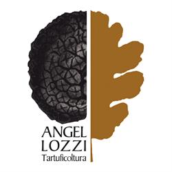 Angellozzi Tartuficoltura, Roccafluvione orari di apertura