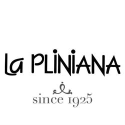 La Pliniana Di Alessandro Muscionico e C. SAS, Como orari di apertura