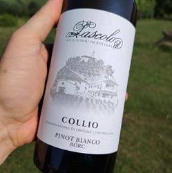 Azienda Agricola Pascolo Di Pascolo Alessandro, Dolegna del Collio orari di apertura