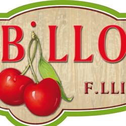 Societa' Agricola Fratelli Billo S.s, Copparo orari di apertura