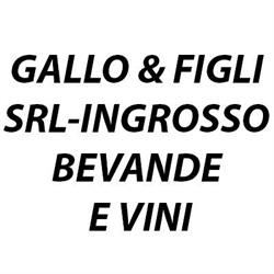 Gallo e Figli Ingrosso Bevande e Vini, Salerno orari di apertura