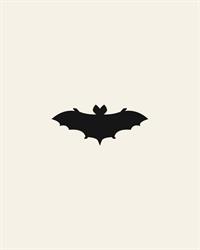 Pipistrello, Potenza orari di apertura