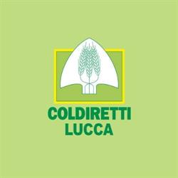 Caf Coldiretti Impresa Verde Lucca Srl, orari di apertura
