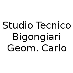 Studio Tecnico Bigongiari Geom. Carlo, Massarosa orari di apertura
