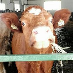 Azienda Agricola La Marpea SS, Ne orari di apertura