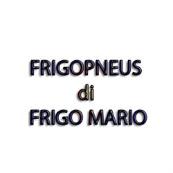 Frigopneus, Rosolina orari di apertura