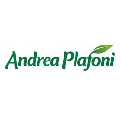 Plafoni Andrea, Cologna Veneta orari di apertura