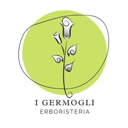 I Germogli SNC Di Bozzato Antonella e Nurra Antonella, Padova orari di apertura
