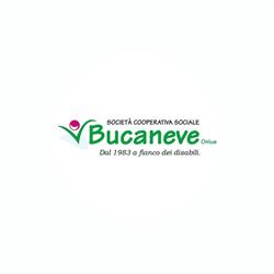 Bucaneve (Soc.coop.r.l.), Castel Goffredo orari di apertura