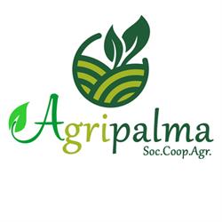 Agripalma, Palma di Montechiaro orari di apertura