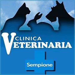 Clinica Veterinaria Sempione, Milano orari di apertura