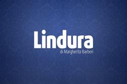 Impresa Di Pulizia Lindura Di Barberi Margherita, Muggiò orari di apertura