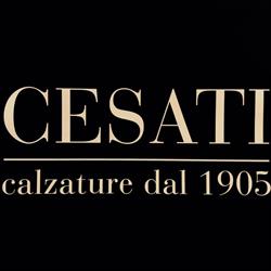 CALZATURE CESATI S.A.S. DI CESATI E.e C., Sesto San Giovanni orari di apertura