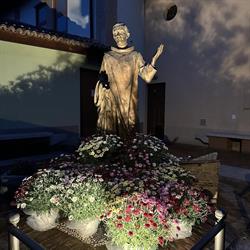 Parrocchia Dei Santi Cornelio E Cipriano, Trivolzio orari di apertura