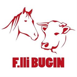 Macelleria Equina Bovina Fratelli Bugin Snc, Galta orari di apertura