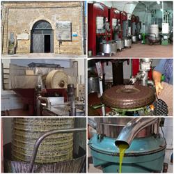 Agricola "Le Serre" s.r.l., Ugento orari di apertura