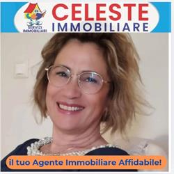 Agenzia Celeste Immobiliare, Sessa Aurunca orari di apertura