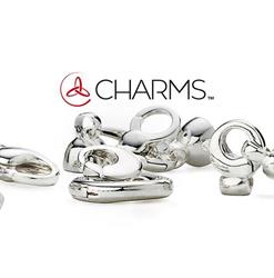 CHARMS Srl, Altavilla Vicentina orari di apertura