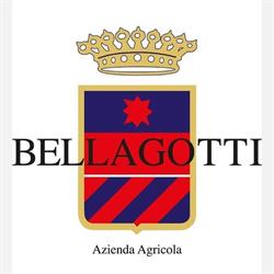 Azienda Agricola Bellagotti, Terricciola orari di apertura