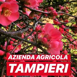 Az. Agr. Tampieri, Faenza orari di apertura