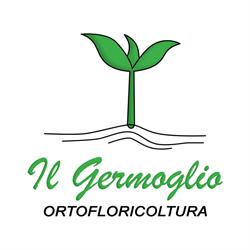 Ortofloricoltura Il Germoglio, Asolo orari di apertura
