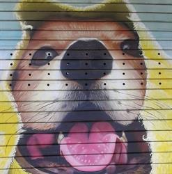 Shampoo Dog Di Paolo Di Felice, Roma orari di apertura