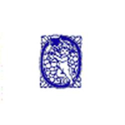 NEW C.E.M., Pomezia orari di apertura