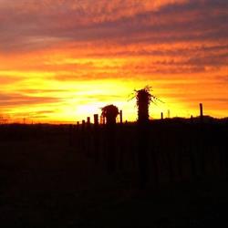 Azienda Agricola Maurizio Zaccomer, Nimis orari di apertura